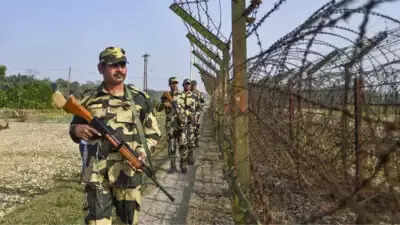 Pakistani intruder gunned down in Punjab's Ferozpur