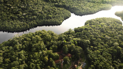 COP30 can be a turning point in climate fight, says Brazil's UN COP30  president