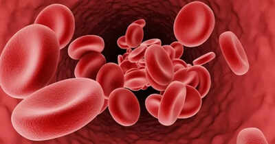 World Thalassaemia Day: What every couple planning a pregnancy should know about Thalassemia