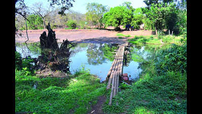Tourism dept approval now mandatory for agri farms and spice plantations