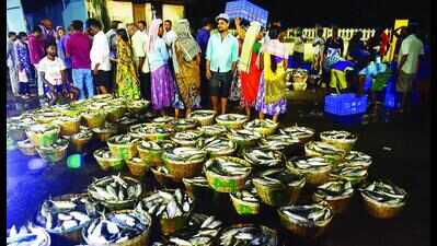 ‘Diesel generators are directly linked to LED fishing’