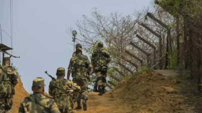 BSF foils infiltration bid near J&K's Samba amid escalating tensions with Pakistan