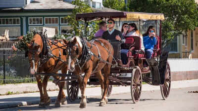 Explore a car-free US island where horses are the locals' main mode of transport