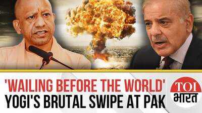 Shameless Country Wailing Before The World: Yogi Adityanath's Brutal Swipe At Pakistan