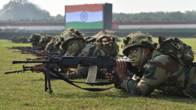 What is Territorial Army? Centre activates 14 battalions to support regular Army amid rising tensions with Pakistan