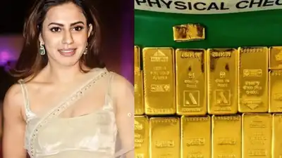 Gold Smuggling Case: Ranya Rao seeks statutory bail as DRI misses chargesheet deadline