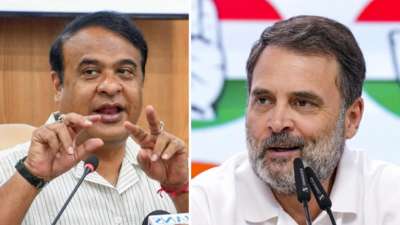 'Not Gabbar Singh Tax but God-Sent Tax': Assam CM Himanta Sarma hails taxpayers for Operation Sindoor success, takes jab at Congress