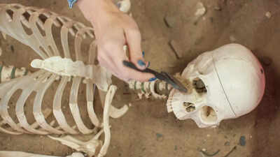 How do archaeologists determine the gender of a skeleton?