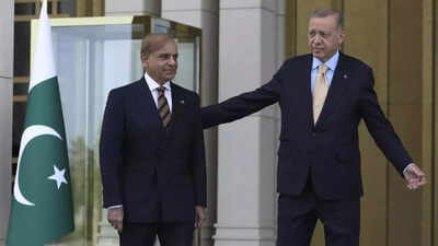 EaseMyTrip and Cox & Kings suspend all travel offerings to Azerbaijan and Turkey, 'join' the 'boycott' call after Operation Sindoor