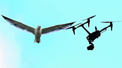 Punjab OKs anti-drone system to boost border security amid escalating India-Pakistan tensions