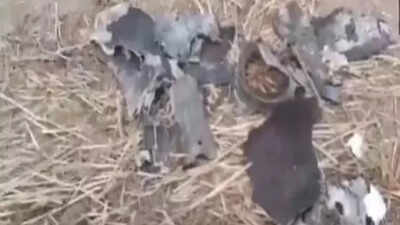 Debris of projectile retrieved in Punjab's Jalandhar as Pakistan violates Indian airspace