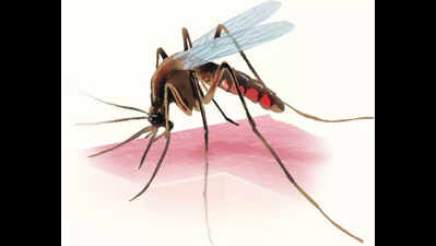 Goa steps up dengue, malaria prevention ahead of monsoon