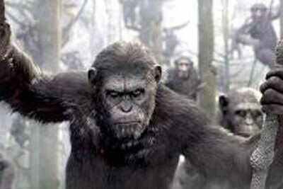 Title for third ''Planet of the Apes'' film revealed?