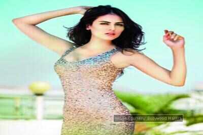 Mandana Karimi back with ex-boyfriend Gaurav Gupta