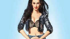 Evelyn Sharma offered a cameo in an American TV show!