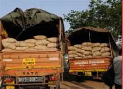 Record Wheat Procurement By HAFED In Haryana Times Of India