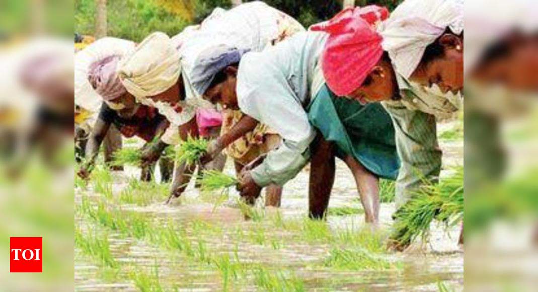 Monsoon Showers Boost Kharif Sowing Operations India News Times Of