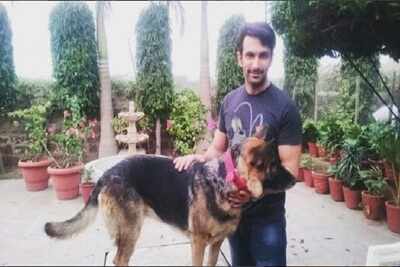 Nandish Sandhu misses his dog Daisy