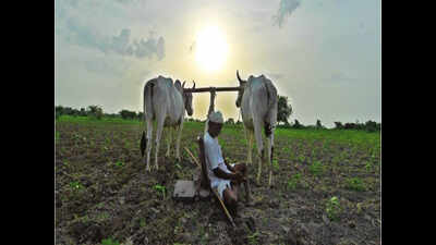 Farmers’ task force urges state to save ryots from dry spell