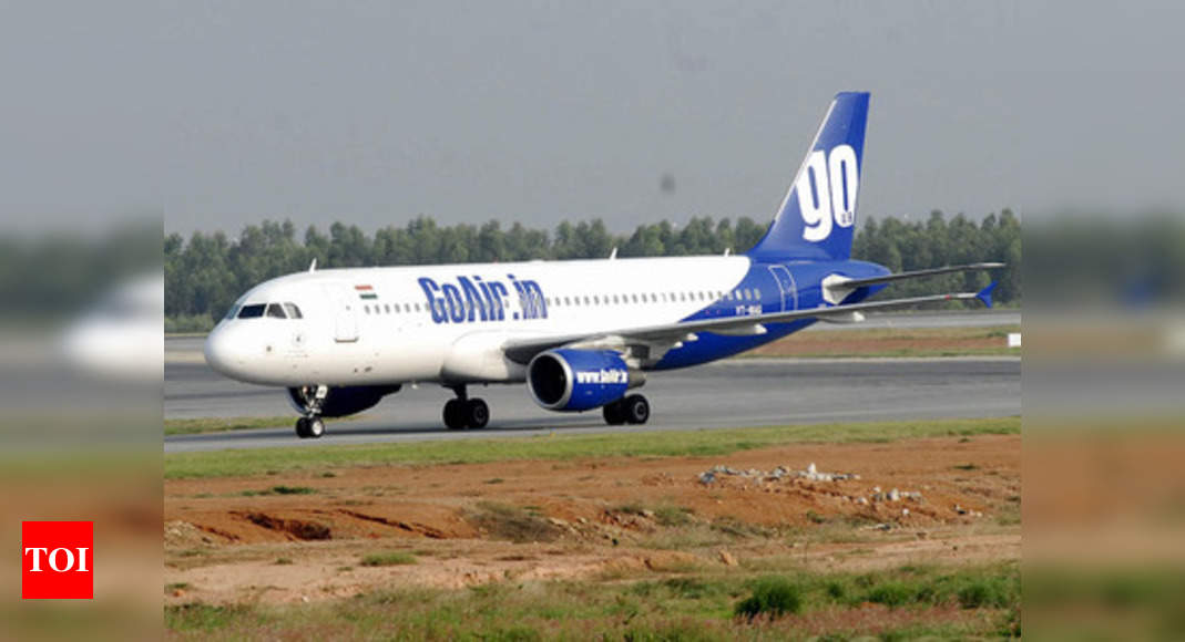 GoAir S Delhi Patna Flight Suffers Bird Hit Patna News Times Of India