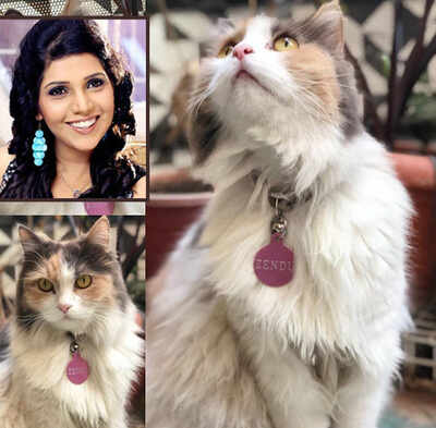 Mukta Barve celebrates Zendu's birthday