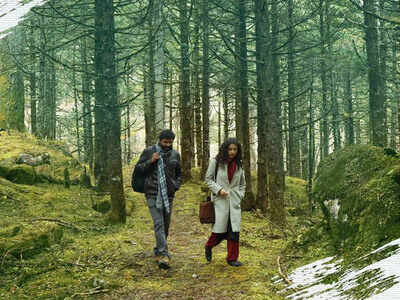 Dr Biju’s film Painting Life has an aesthetic poster