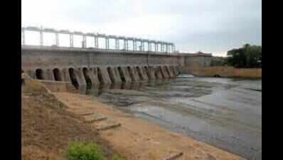 Cauvery issue: DMK, other opposition parties call for TN bandh on April 5