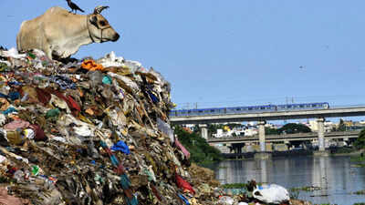 Chennai: How people reduced Adyar to a stream of trash