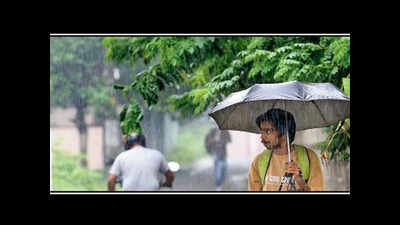 Monsoon to hit state today: IMD