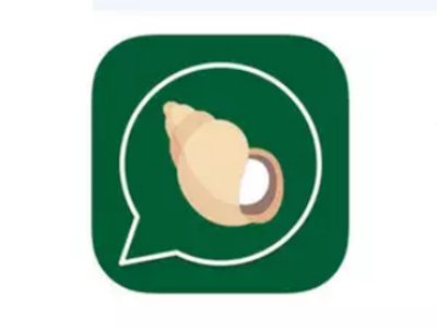 Patanjali chat app 'Kimbho' removed after a day