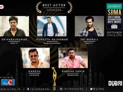 7th SIIMA awards: Complete Kannada nominations list