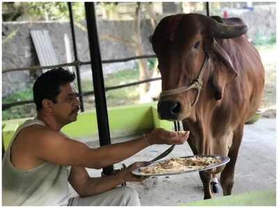 Arjun Sarja gets a surprise from his children