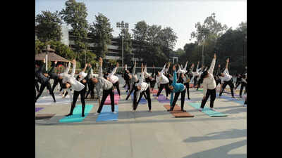 Chandigarh: NSS camp begins at KBDAV