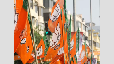 BJP and BSP declare 40 leaders each as star campaigner for Odisha, JMM has 20