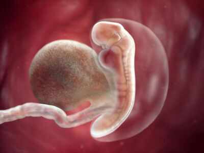 5 weeks pregnant: Your body is changing!