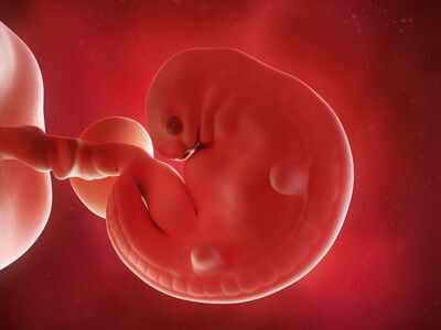 7 weeks pregnant: Your baby is the size of a blueberry