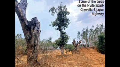 NHAI says rethinking road-widening ‘not possible’
