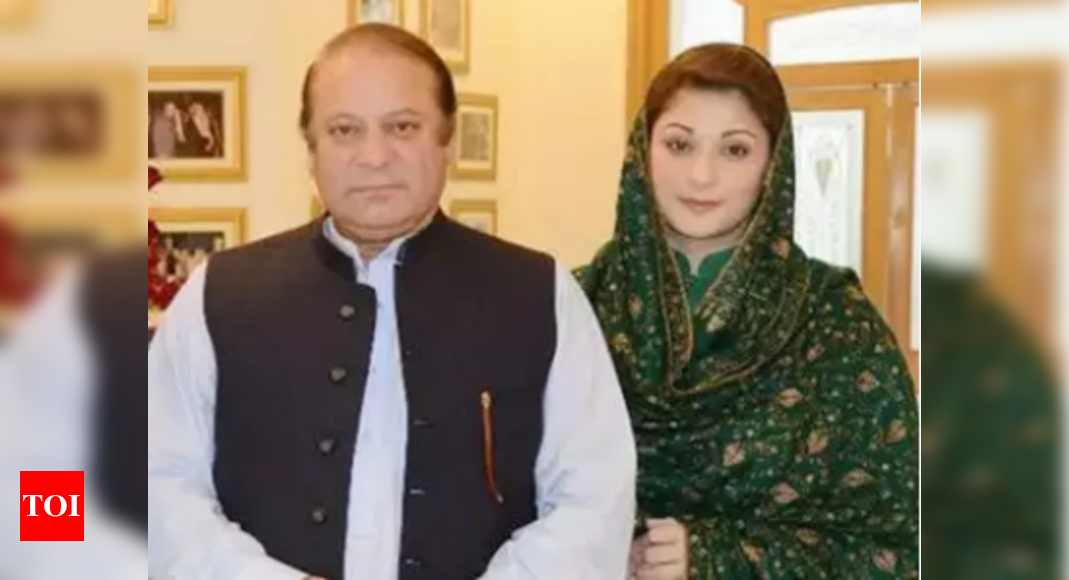 Will Not Let Nawaz Sharif Become Morsi Of Pakistan Maryam Nawaz Times Of India