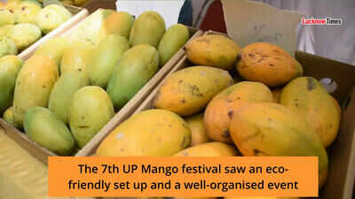 Lucknowites' early morning visit to a mango orchard
