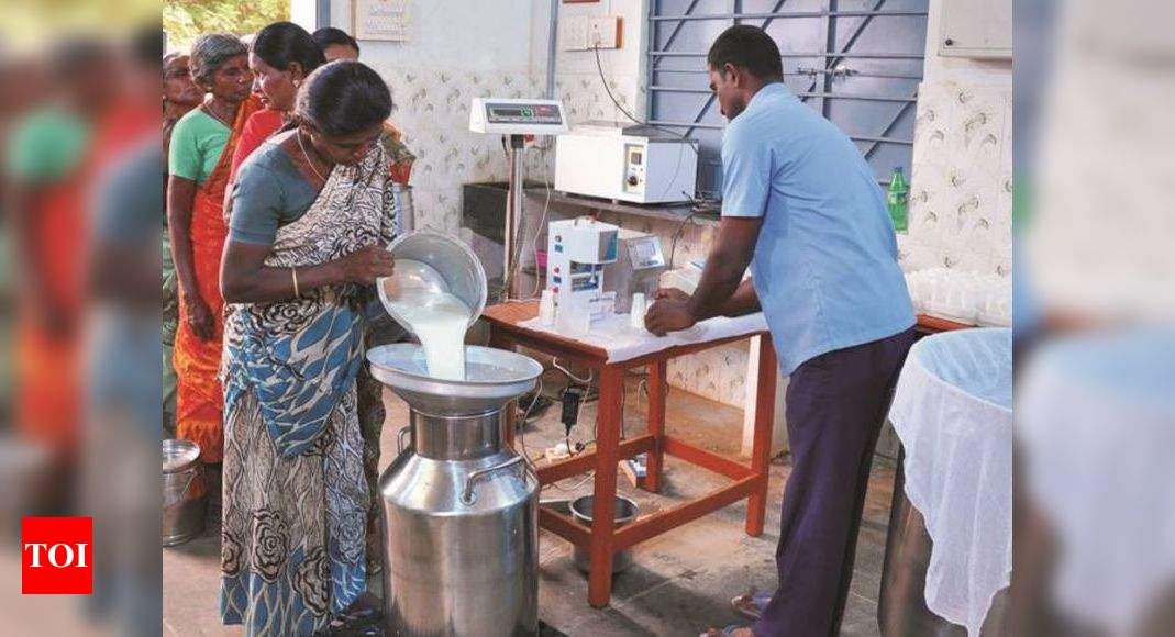 Aavin Milk Prices May Go Up As Tamil Nadu Mulls Hiking Procurement