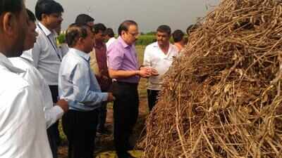 Maharashtra: ‘Compensate ryots under crop insurance scheme and NCA’