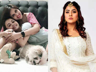 Bigg Boss 13: Dalljiet Kaur and Devoleena trolled for comparing Shehnaz to a 'dog'; Iss Pyaar Ko actress gives it back to haters