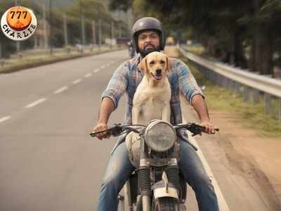 Rakshit Shetty’s '777 Charlie' completes 100 days of shooting