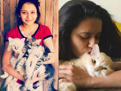 Jui Gadkari and Shivani Surve's stressbusters are their cats; take a look