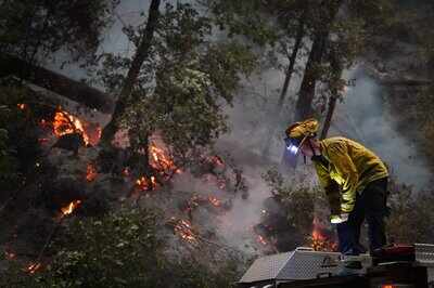 Fierce, frequent, climate-fueled wildfires may decimate forests worldwide