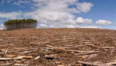 ‘We must treat the soil with respect — conserving the land will conserve humanity’