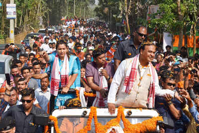 Assam assembly elections: Himanta Biswa Sarma urges people to vote for progress, prosperity of state