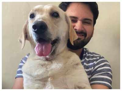 Siddharth Chandekar shares an adorable PHOTO with his pet 'Dora'; take a look!