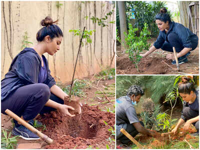 Aathmika plants saplings in remembrance of actor Vivek
