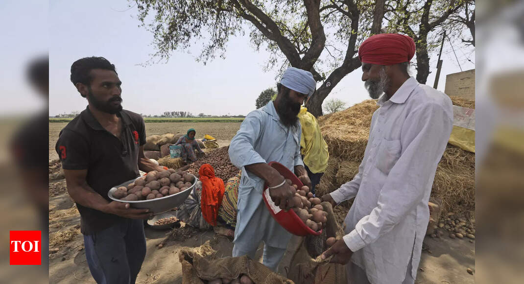 Govt unveils road map to set up centralised farmers’ database | India News